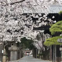 恵林寺の写真・動画_image_85962