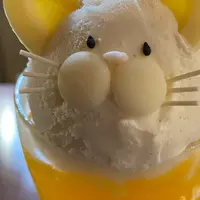 町家猫喫茶 うたねこ堂の写真・動画_image_861233