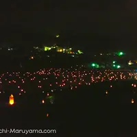 横瀬町の寺坂棚田の写真・動画_image_86140