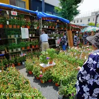 入谷鬼子母神の写真・動画_image_86155