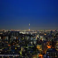 文京シビックセンター展望ラウンジの写真・動画_image_86159