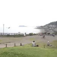 鎌倉海浜公園の写真・動画_image_86205