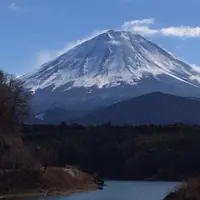 精進湖の写真・動画_image_862210