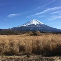 朝霧高原の写真・動画_image_862211