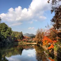 御髪神社の写真・動画_image_86241