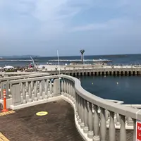 熱海の写真・動画_image_864312