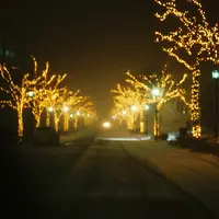 八幡坂の写真・動画_image_866560