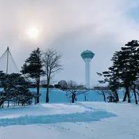 五稜郭公園の写真・動画_image_866562
