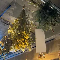 BOTA coffee＆BOTA theaterの写真・動画_image_866581