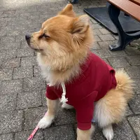 りんくうプレミアム・アウトレットの写真・動画_image_867795