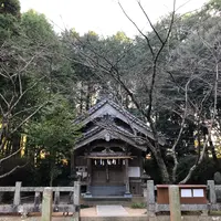 神在神社の写真・動画_image_867849