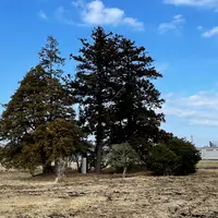 唯円道場跡伝承地の写真・動画_image_867892