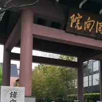 回向院の写真・動画_image_868364
