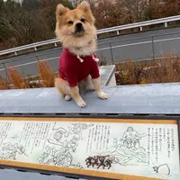 吉備SA (下り)の写真・動画_image_868753