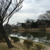福岡城跡の写真・動画_image_869072