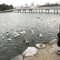 大濠公園の写真・動画_image_869145