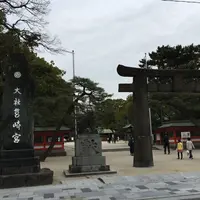 筥崎宮の写真・動画_image_869166