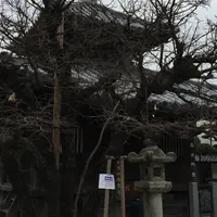 恵光院燈籠堂の写真・動画_image_869176