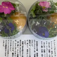 菓子屋 のなの写真・動画_image_877785