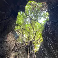 ヌドクビアブの写真・動画_image_882525