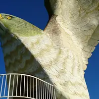 フナウサギバナタの写真・動画_image_882527