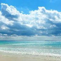 渡口の浜の写真・動画_image_882575