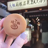 箱根湯本駅の写真・動画_image_883956