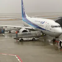 関西空港の写真・動画_image_884723