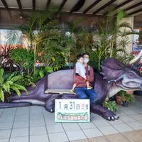御菓子御殿 名護店 （ やんばる亜熱帯の森 ）の写真・動画_image_884964