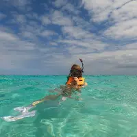 ナガンヌ島の写真・動画_image_888869