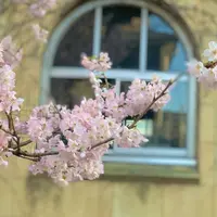 旧京都市立下京中学校成徳学舎の写真・動画_image_889081