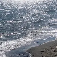 七里ヶ浜の写真・動画_image_889652