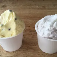 おいシーサー遇(ジェラート)の写真・動画_image_891476