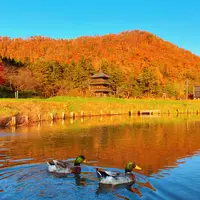 まほろば古の里歴史公園の写真・動画_image_892480