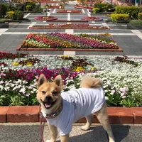 海洋博公園の写真・動画_image_892777