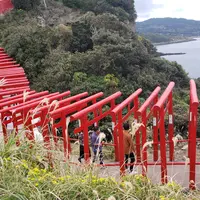 元乃隅神社の写真・動画_image_894062