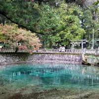 別府弁天池の写真・動画_image_894074