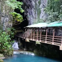 秋芳洞の写真・動画_image_894076