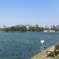 大濠公園の写真・動画_image_895032