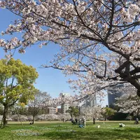 舞鶴公園の写真・動画_image_895033