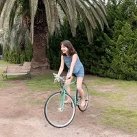 向島の写真・動画_image_895512