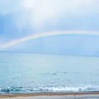 ハワイ海水浴場の写真・動画_image_895839