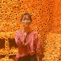 草間彌生美術館の写真・動画_image_896330
