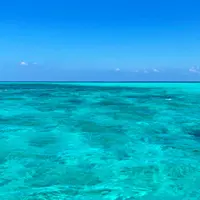 池間島ダイビングサービスの写真・動画_image_896576