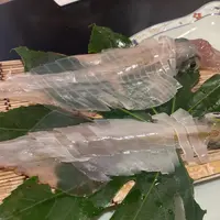 かもめ亭の写真・動画_image_896660
