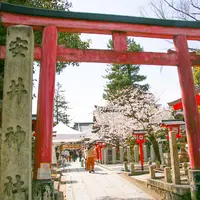 安井金比羅宮の写真・動画_image_896831
