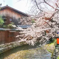 巽橋の写真・動画_image_896844