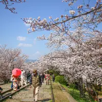 蹴上インクラインの写真・動画_image_896846