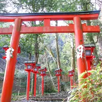 貴船神社 中宮 結社の写真・動画_image_896856