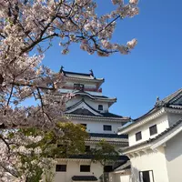 唐津城の写真・動画_image_897367